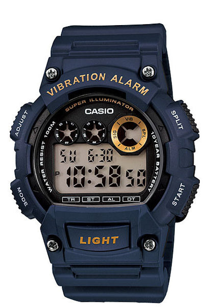 Casio vibrate alarm best sale